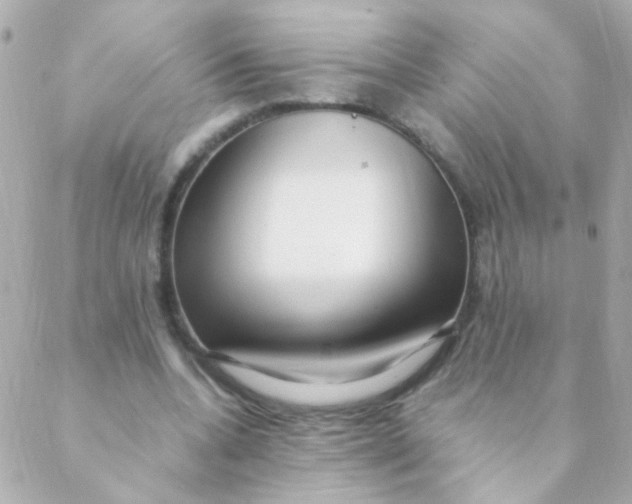 X0000088660536200706152035