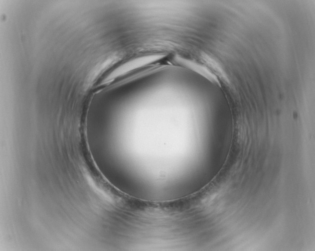 X0000088660538200706152035
