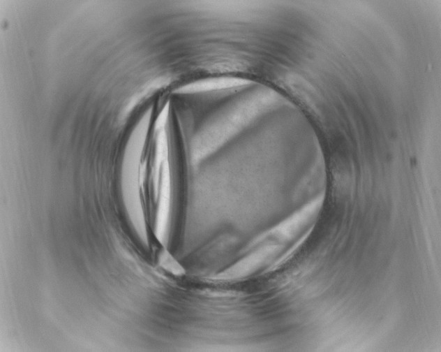 X0000088660539200706152035