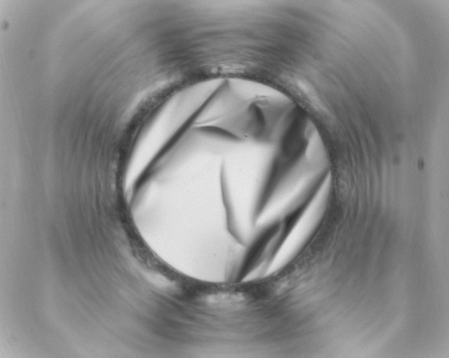 X0000088660543200706152035