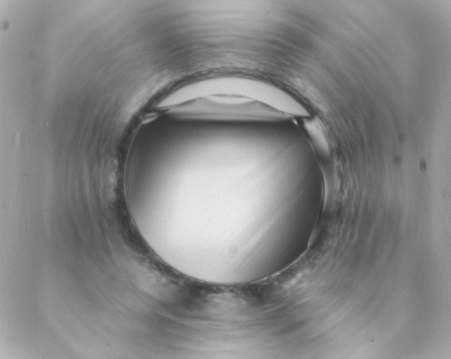 X0000088660544200706152035