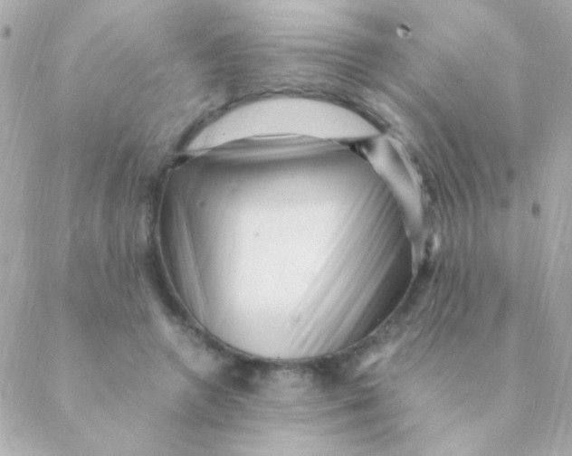 X0000088660546200706152035
