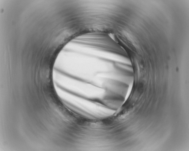 X0000088660548200706152035