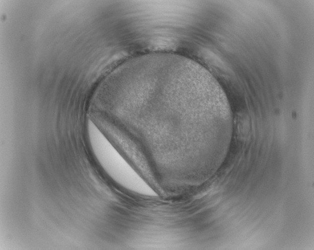 X0000088660550200706152035