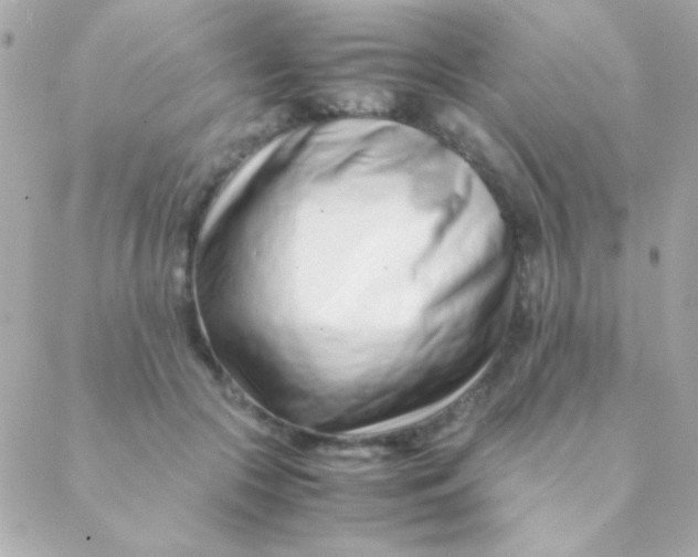 X0000088660553200706152035