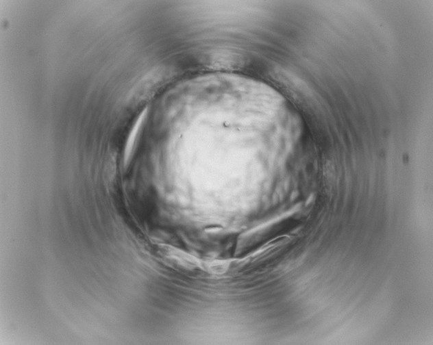 X0000088660554200706152035