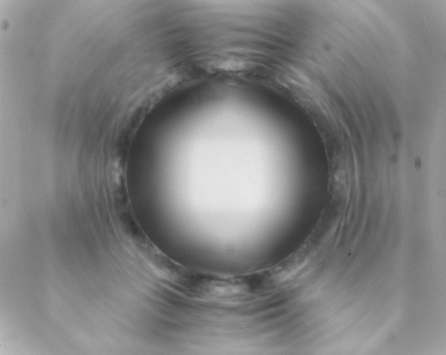 X0000088660555200706152035
