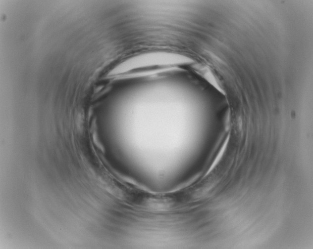 X0000088660556200706152035
