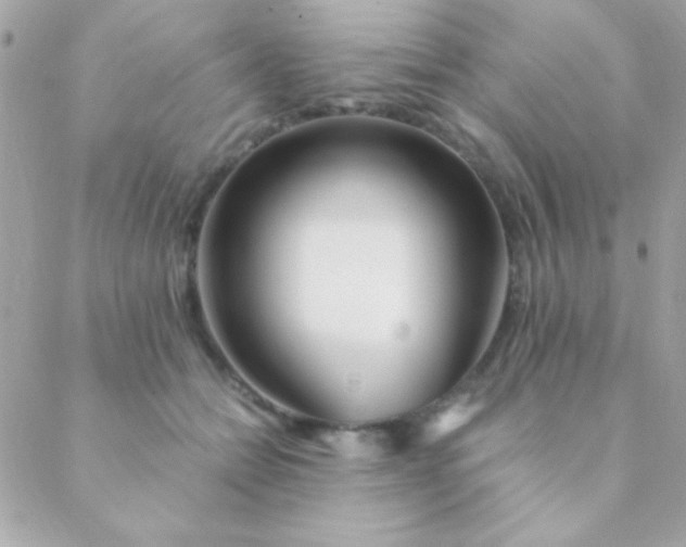 X0000088660558200706152035