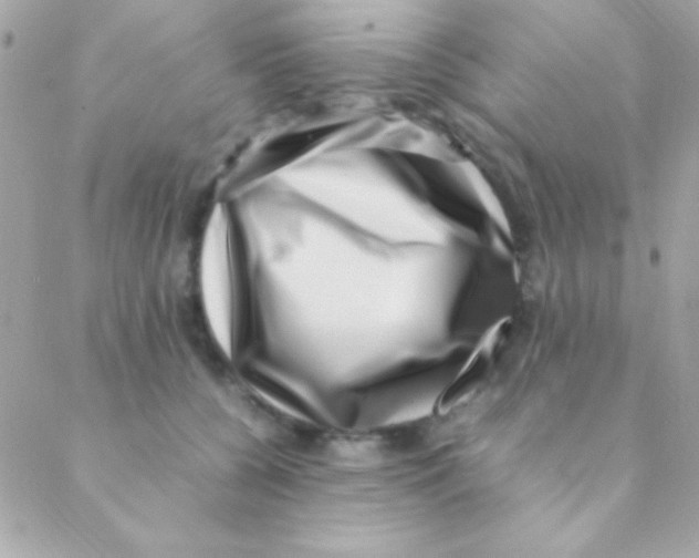 X0000088660560200706152035