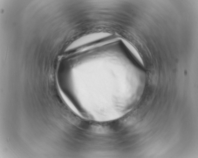 X0000088660561200706152035