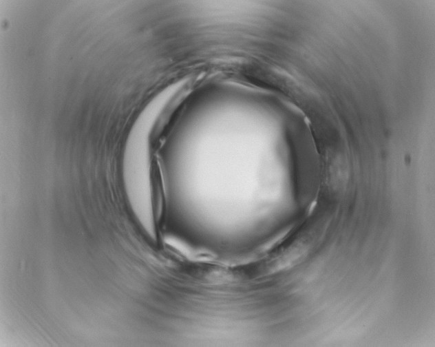 X0000088660562200706152035