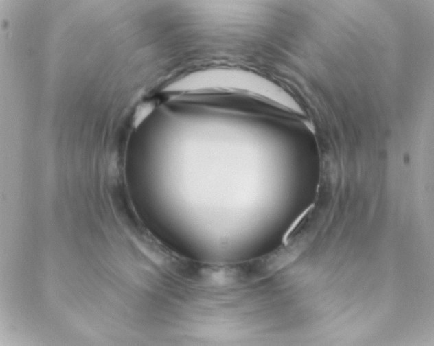 X0000088660564200706152035