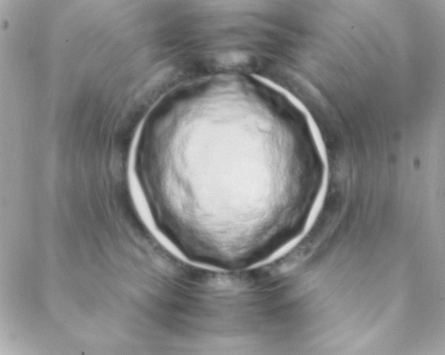 X0000088660565200706152035