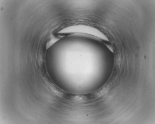 X0000088660566200706152035
