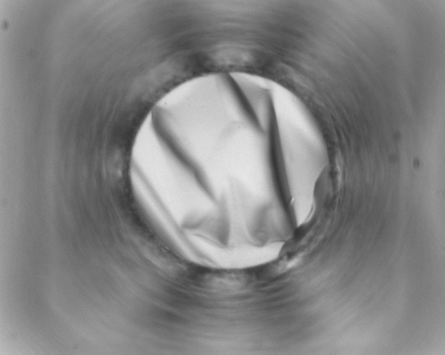X0000088660567200706152035