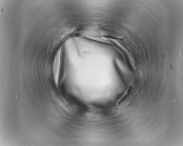 X0000088660568200706152035
