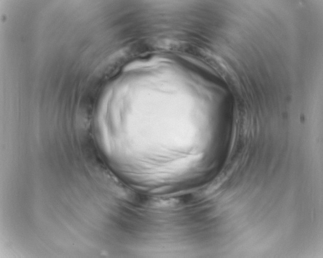 X0000088660569200706152035
