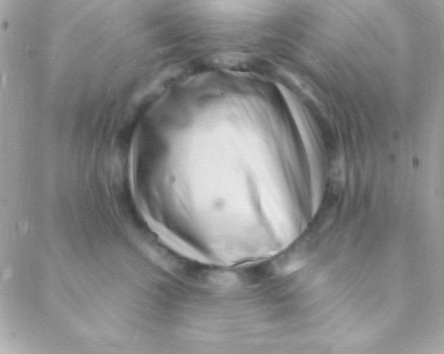 X0000088660572200706152035