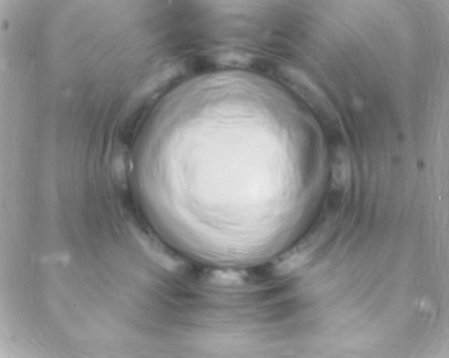 X0000088660573200706152035