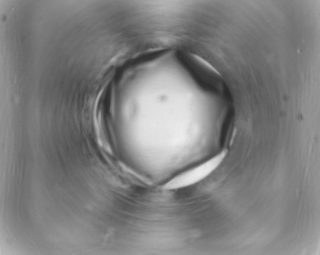 X0000088660576200706152035