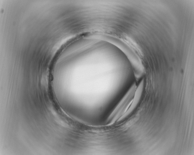 X0000088660580200706152035