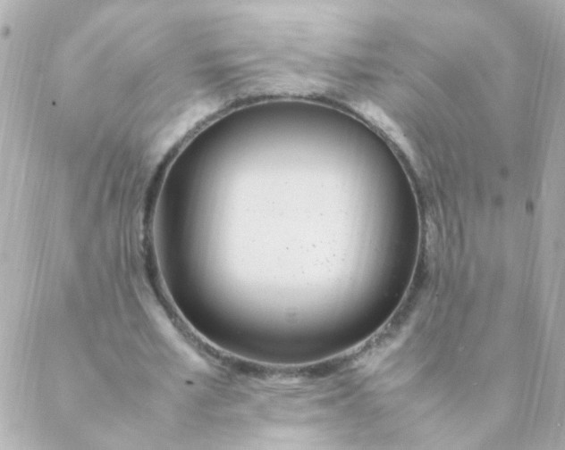 X0000088660581200706152035