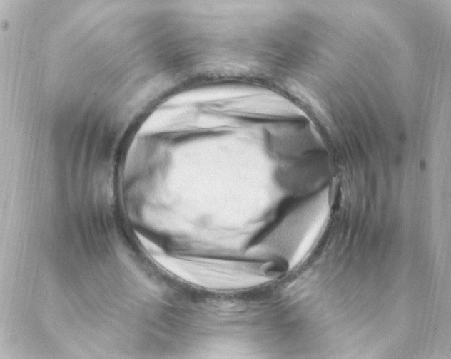 X0000088660582200706152035