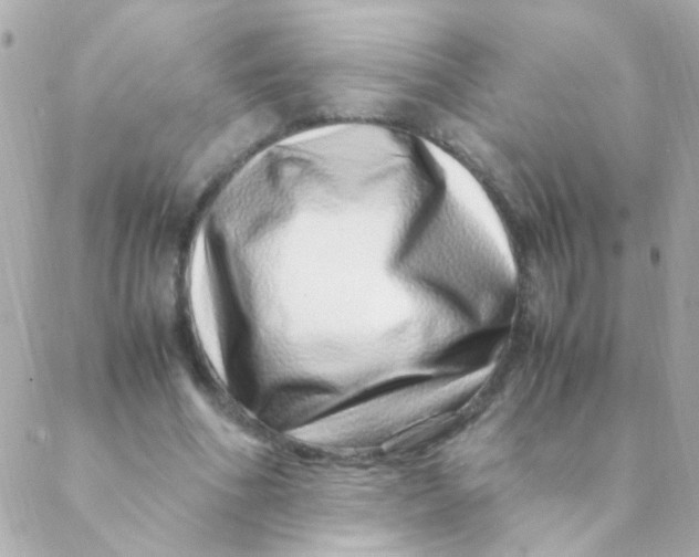 X0000088660586200706152034