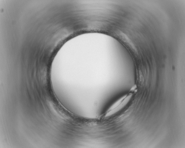 X0000088660588200706152034