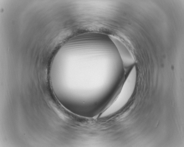 X0000088660589200706152034