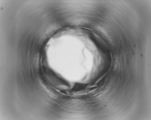 X0000088660590200706152034