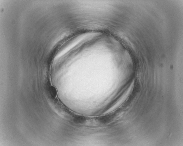 X0000088660591200706152034