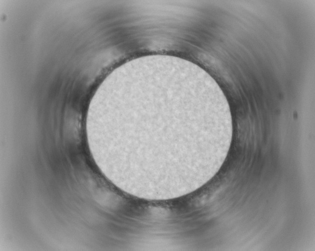 X0000088660592200706152034