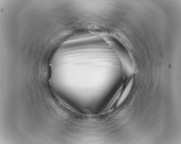 X0000088660593200706152034