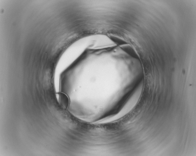 X0000088660594200706152034
