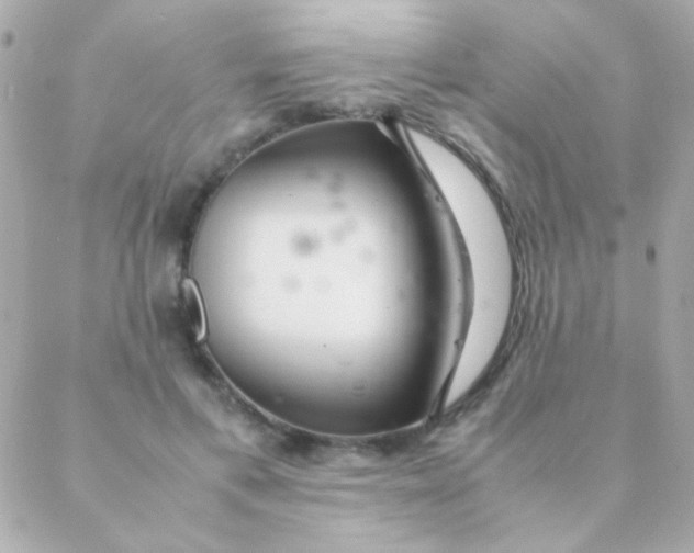 X0000088660597200706152034