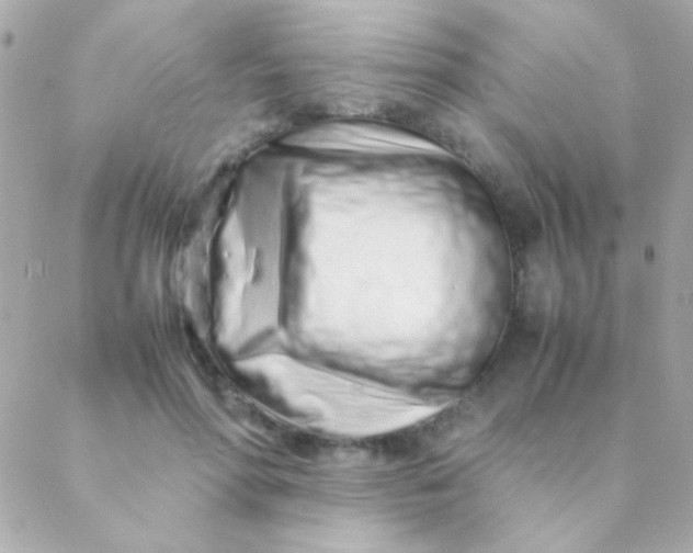 X0000088660598200706152034