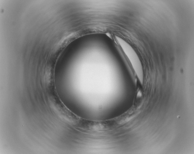 X0000088660600200706152034