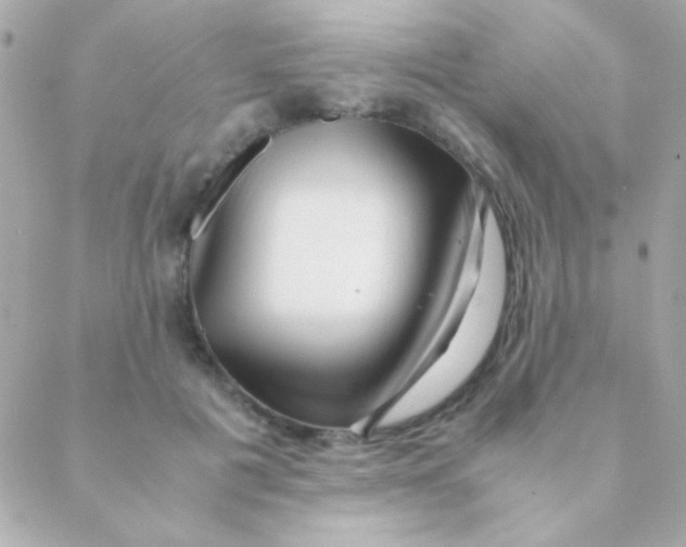 X0000088660601200706152034