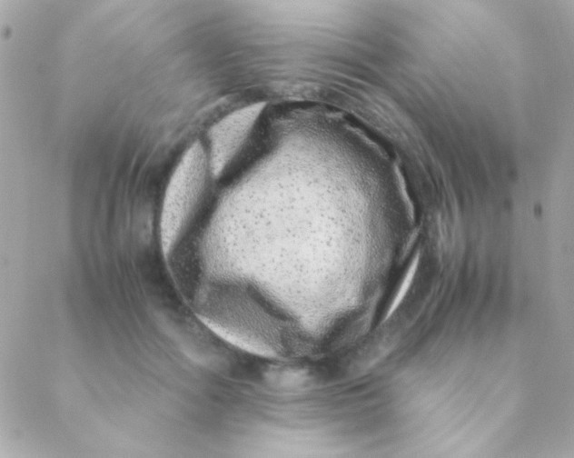 X0000088660602200706152034