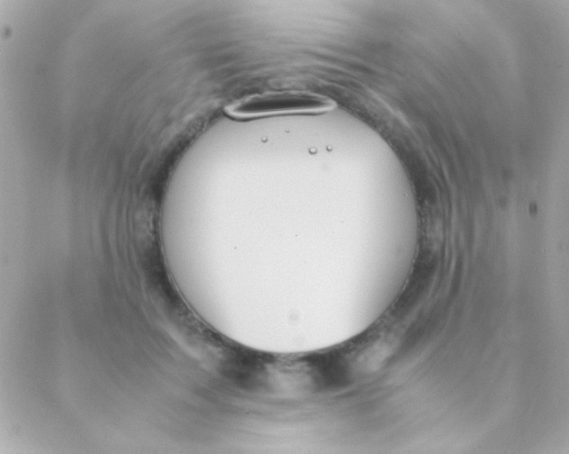 X0000088660603200706152034