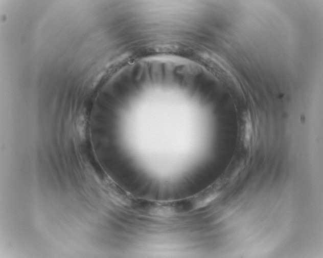 X0000088660604200706152034