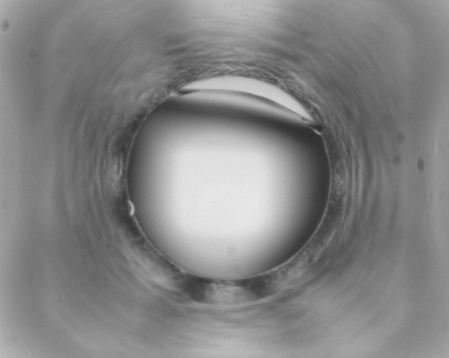 X0000088660605200706152034