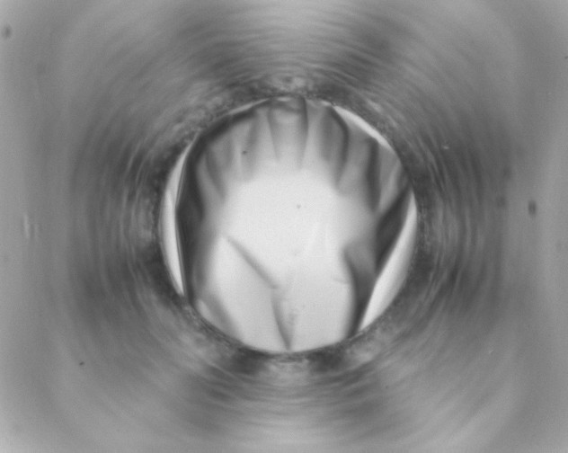 X0000088660606200706152034