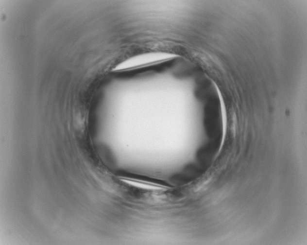 X0000088660607200706152034