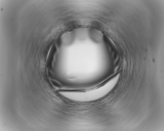 X0000088660609200706152034