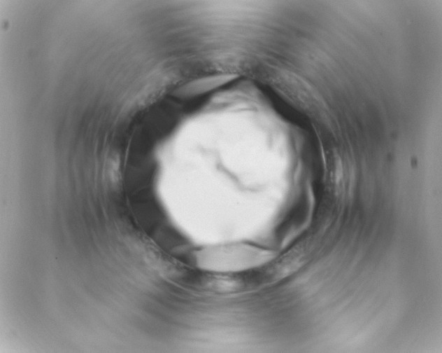 X0000088660610200706152034