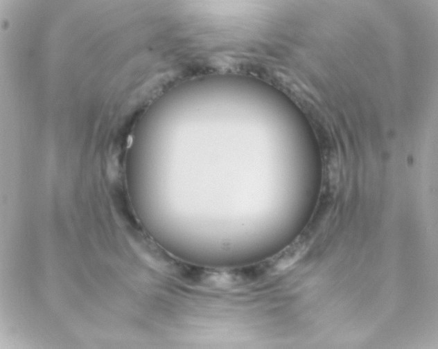 X0000088660611200706152034