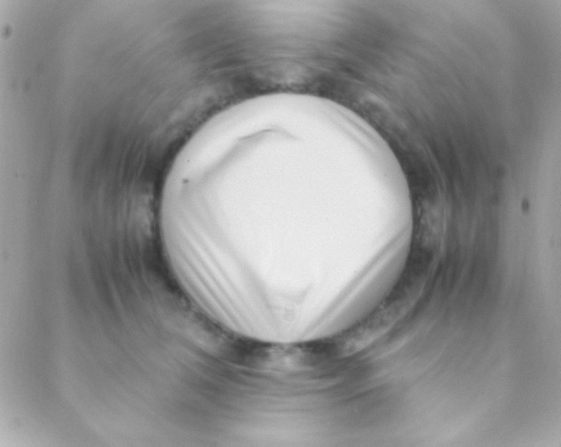 X0000088660612200706152034